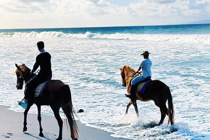 Bali Horse Riding Trot & Canter Saba Beach with Local Temple - Pickup, meeting point, and how the hour is likely paced