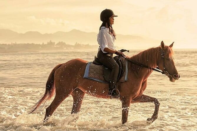 Bali Horse Riding, Waterfall, Rice Terrace, Lunch - All Inclusive - Key Highlights You’ll Feel on Day-of
