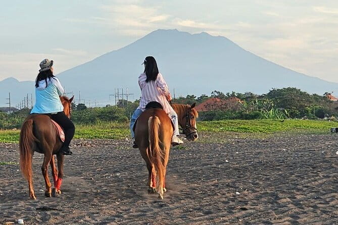 Bali Horse Riding, Waterfall, Rice Terrace, Lunch - All Inclusive - Saba Bay Sets the Tone: Horse Riding Plus Real Bali Views