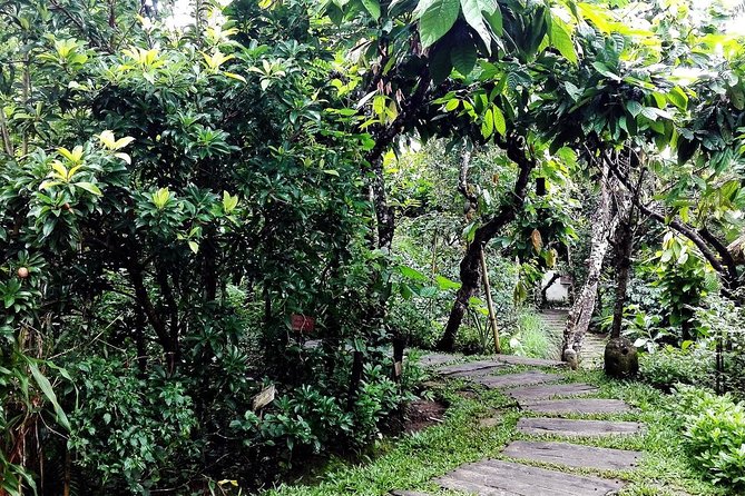 Bali in 1-Day : Rice Terrace, Volcano, Tanah lot - All Inclusive - Pickup, Private Transport, and Why 6 People Matters