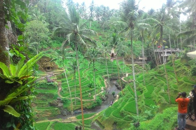 Bali in 1-Day : Rice Terrace, Volcano, Tanah lot - All Inclusive - Kintamani Highland and Lake Batur Views: Volcano Country in a Few Hours