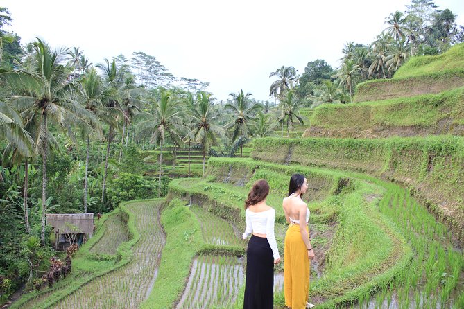 Bali Instagram Most Iconic Spots Private Tour - Lempuyang Temple Gate of Heaven: the 1,700+ steps part of the deal