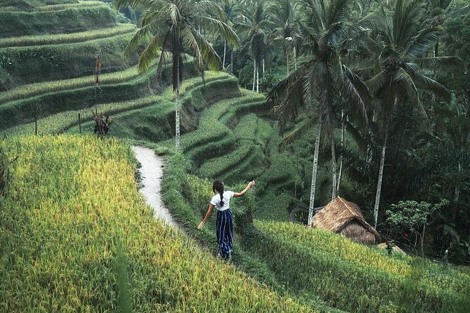 Bali Instagram Tour from Your Hotel (Private & Full-day) - Tukad Cepung and Kanto Lampo: Cave Waterfalls Where the Rocks Do Half the Work