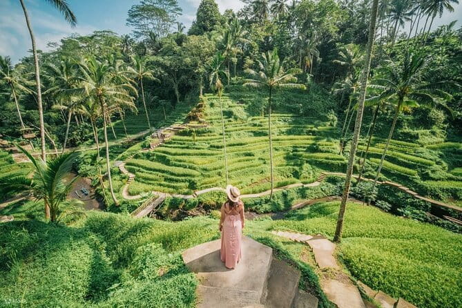 Bali Instagram Tour [Private and All-Inclusive] - Price and logistics: why the all-inclusive setup works