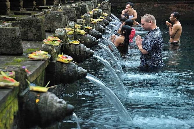 Bali Instagram Tour [Private and All-Inclusive] - Abian Desa rice terraces and the swing or giant bird nest tickets