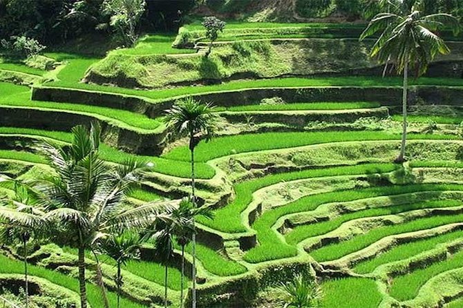 Bali Instagram Tour : The Most Popular Spots In Bali - Tukad Cepung Waterfall: sunbeams, canyon light, and a swim option