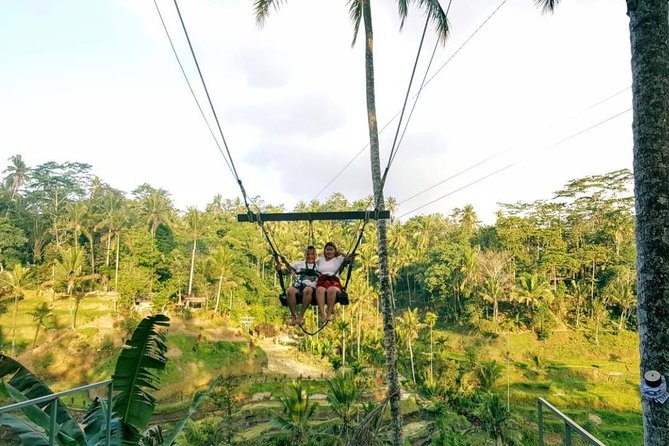 Bali Instagram Tour: The Most Scenic Spots - How guides help you get the shot (and keep the day smooth)