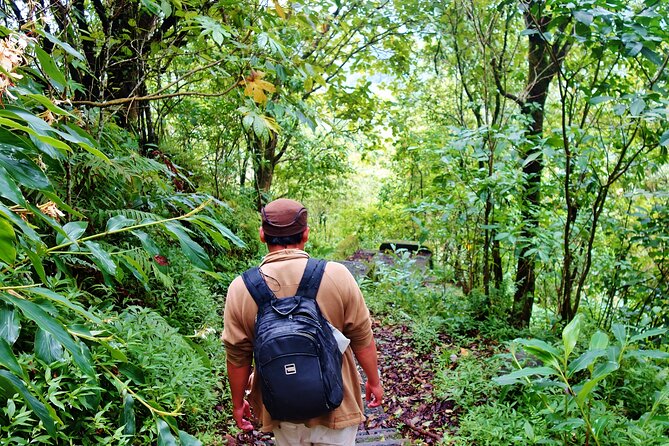 Bali Jungle Trekking in Beautiful Rainforest - Buyan Lake Stop: The Twin Lake Experience and a Better Sense of Place