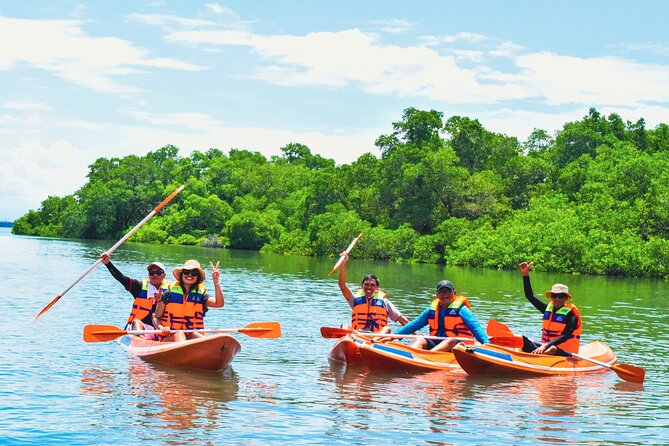 Bali Mangrove Canoeing Tour - Canoe or Kayak Through Bali’s Mangroves: Wildlife and Sights