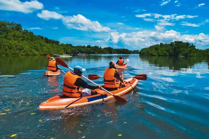 Bali Mangrove Canoeing Tour - The Group Dynamic: Shared Tour, Up to 99 People