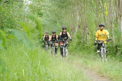 Bali Mountains and Villages Cycling Tour - The downhill part: fun, speed, and sensible pacing