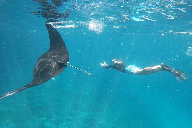 Bali Nusa Penida and Private Snorkeling (Manta Bay, Gamat, Wall) - A full Nusa Penida day: beaches above, sea critters below