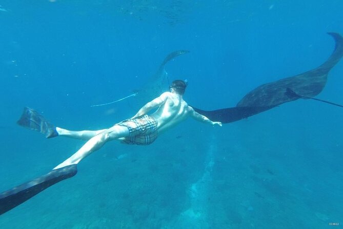 Bali Nusa Penida and Private Snorkeling (Manta Bay, Gamat, Wall) - Price and logistics: what you’re really paying for