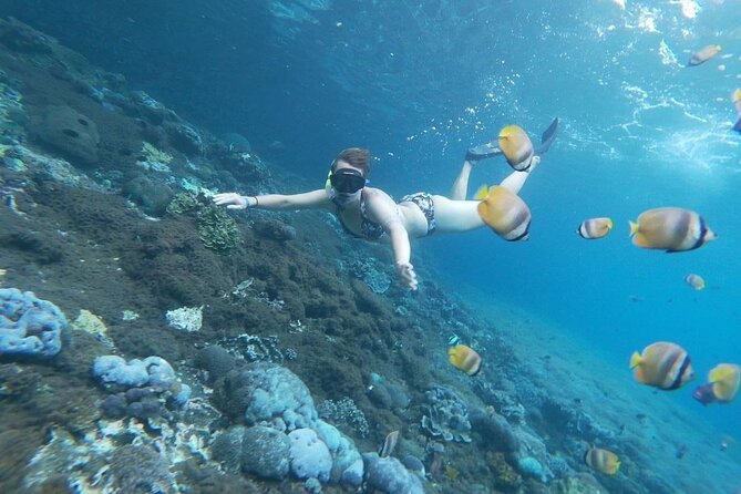 Bali Nusa Penida and Private Snorkeling (Manta Bay, Gamat, Wall) - What makes this tour feel VIP: private boat, equipment, and a real instructor