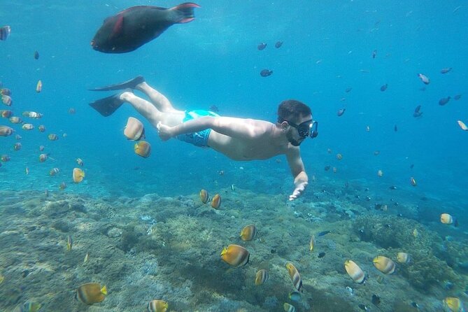 Bali Nusa Penida and Private Snorkeling (Manta Bay, Gamat, Wall) - Timing and pacing: why each stop feels short but effective