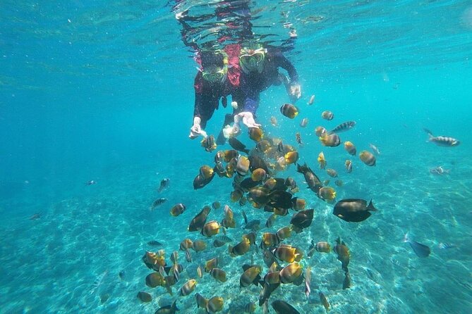 Bali Nusa Penida and Private Snorkeling (Manta Bay, Gamat, Wall) - Lunch, water, and the small stuff that keeps the day running