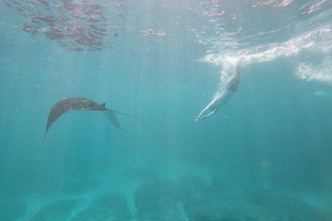 Bali Nusa Penida and Private Snorkeling (Manta Bay, Gamat, Wall) - Meeting at 6:30am and getting to Sanur without stress