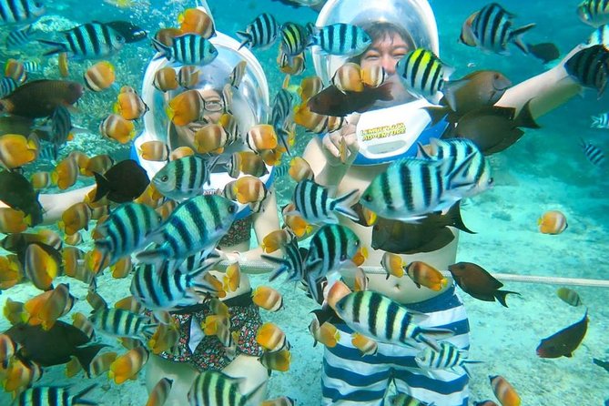 Bali Ocean Walker - Key things to know before you book