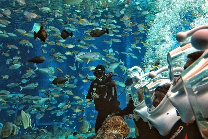 Bali Ocean Walker - What Bali Ocean Walker Is, and Why It Feels Like Spacewalking