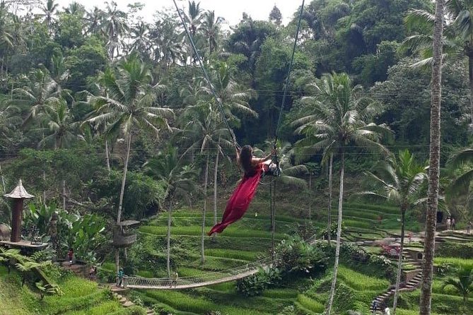 Bali Private 3 Days Tour Package Highlight - Tegalalang Rice Terrace and the Bali swing: make it photo-friendly