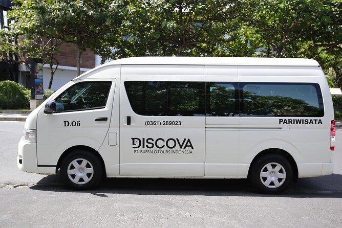 Bali Private Arrival Transfer: From Bali Airport to Bali Hotel - Who This Bali Transfer Suits Best