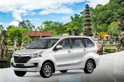 Bali Private Car and Customize Tour With English Speaking Driver - Price and Value: What You Pay, and What Comes Extra