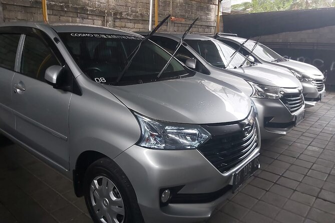 Bali Private Car Charter - The real skill: handling remote stops and long road days