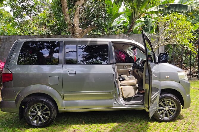 Bali Private Car Charter & Customize Tour With Driver English Speaking-Free WiFi - Sacred Monkey Forest Sanctuary: temples, forest shade, and macaques