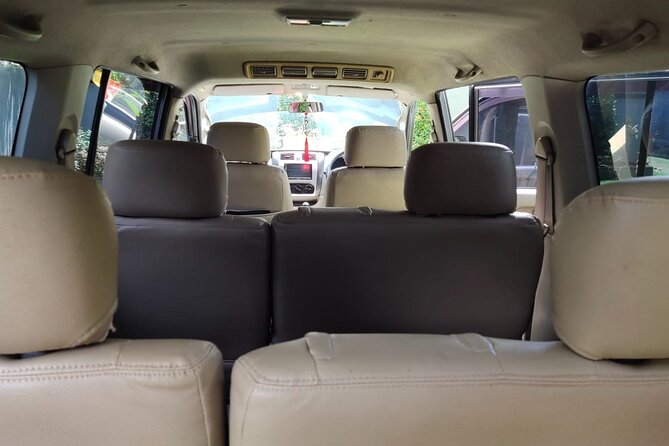 Bali Private Car Charter & Customize Tour With Driver English Speaking-Free WiFi - Tirta Empul Temple: the holy spring blessing ritual
