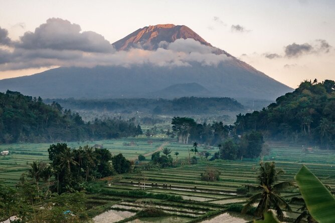 Bali Private Car Charter with English Speaking Driver - Key Things I’d Actually Plan Around