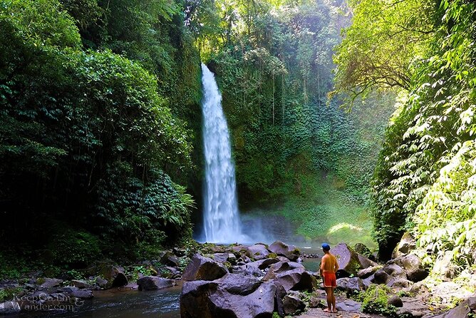 Bali Private Car Charter with English Speaking Driver - Price and What You Actually Get for $36