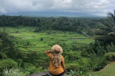 Bali Private Car Charter with English Speaking Driver - How the Route Customization Really Helps You
