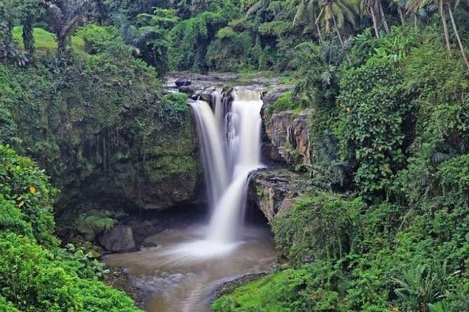 Bali Private Car Charter with English Speaking Driver Or Guide - Temple Visits in Bali: Sarongs, Etiquette, and Less Guesswork