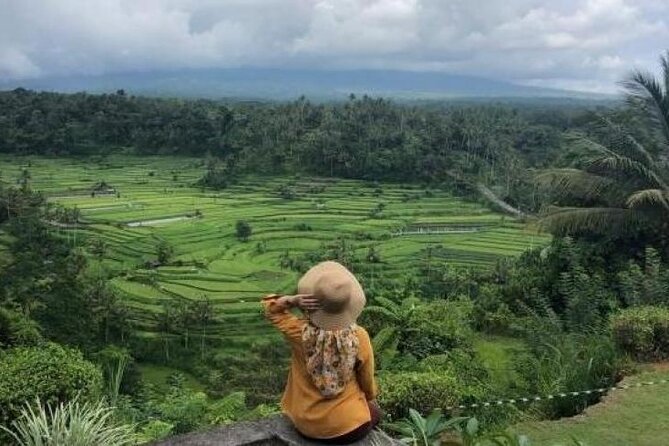 Bali Private Car Charter with English Speaking Driver - How the Route Customization Really Helps You