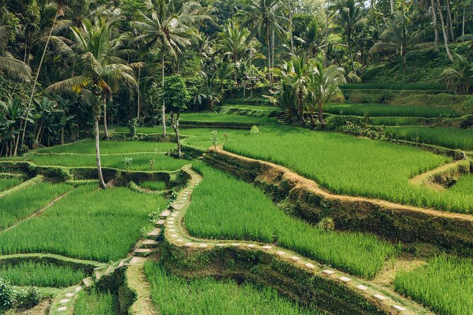 Bali Private Car Full Day Customized Tour With Drone Service - Stop pacing: how to avoid feeling rushed in an 8–10 hour day