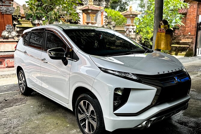 Bali Private Car Full Day Customized Tour With Drone Service - The drone service: how you get sky-level memories, not just photos