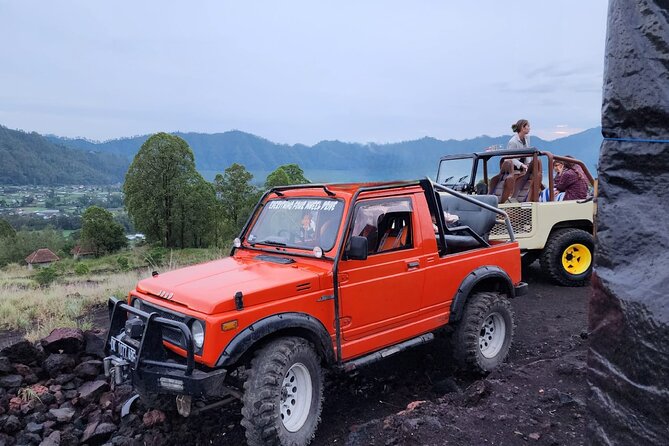 Bali Private Custom Tour - Price value: why $32 can be smart, and where to watch totals