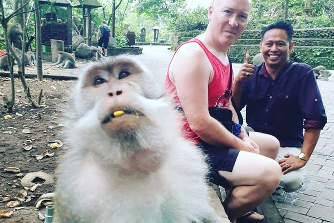 Bali Private Custom Tour - Bali Car Hire with Driver - Why a private driver is the smartest way to spend a day in Bali