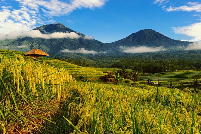 Bali Private Driver - Bali customized private tour - Key Takeaways Before You Book