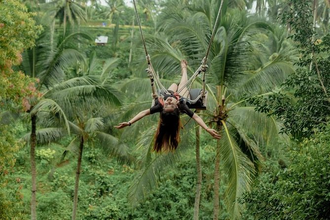 Bali Private Driver - Bali customized private tour - Ubud to Kintamani to Bedugul and Jatiluwih: A Full-Day Loop Built for Views