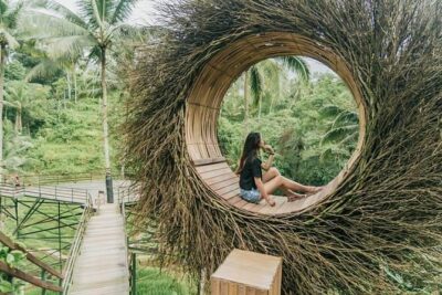 Bali Private Driver - Bali customized private tour - The Places You Can Mix Into Your Day: Icons, Temples, and Scenic Stops