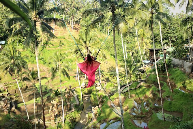 Bali Private Full Day Tour to Visit the Best Waterfalls and Swing near Ubud - Stop 4: Terrace River Pool Swing for photos plus optional thrills