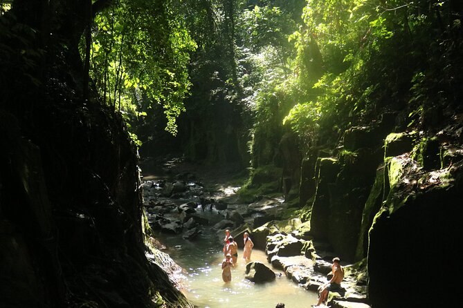 Bali Private Full Day Tour to Visit the Best Waterfalls and Swing near Ubud - Stop 5: Tegalalang Rice Terrace for the classic view (and crafts nearby)