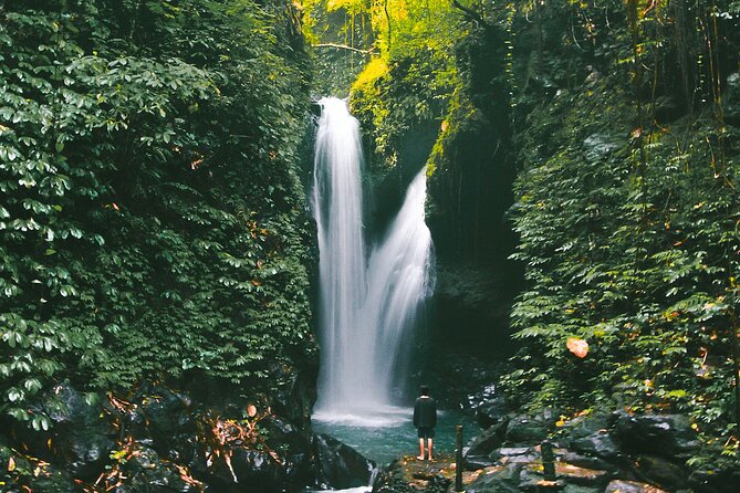 Bali : Private Fullday trip, Discover North Bali Destination - Banyumala Twin Waterfalls: Swim Break Time That Feels Worth It