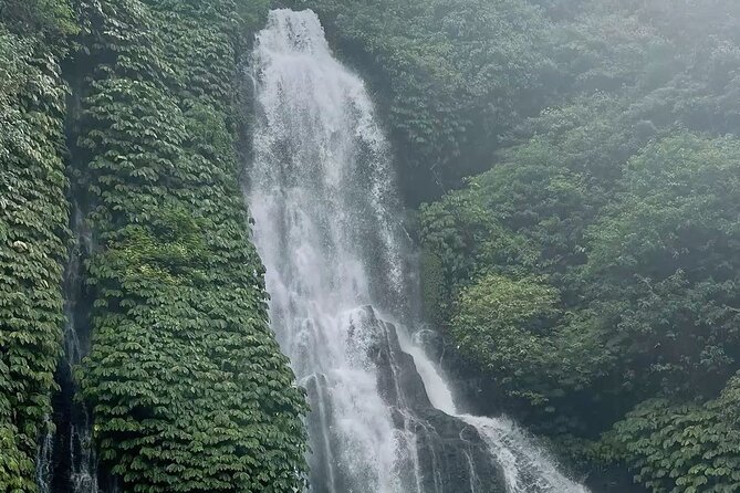Bali : Private Fullday trip, Discover North Bali Destination - Sekumpul and Munduk Waterfall Areas: The Challenge and the Reward