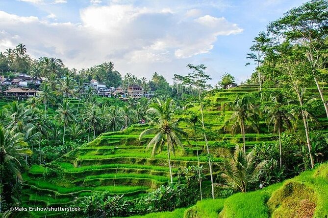 Bali Private inclusive tour: Best of Ubud in a Day - Why Ubud’s Best-of Stops Work as a One-Day Plan