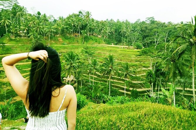 Bali Private inclusive tour: Best of Ubud in a Day - Stop 3: Tegalalang Rice Terrace (A Walk Through Paddies)