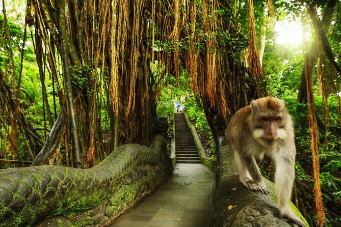 Bali Private inclusive tour: Best of Ubud in a Day - Stop 4: Sacred Monkey Forest Sanctuary (600+ Monkeys, Full Walk Time)