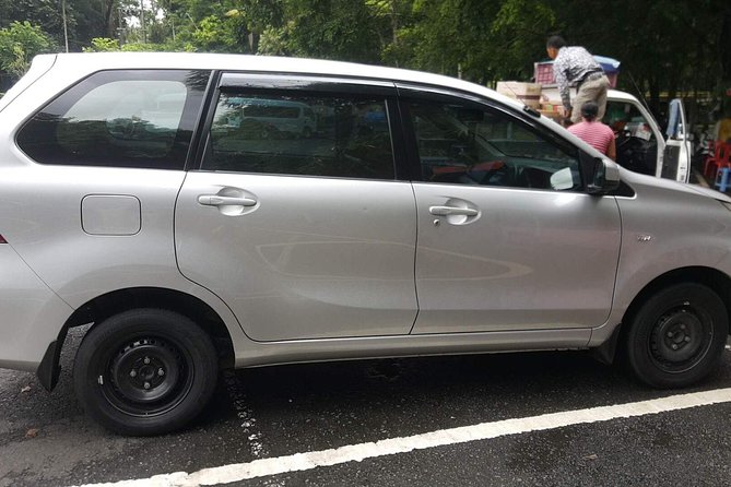 Bali Private Tour - Car with Driver - Who this tour fits best (and who might want something else)