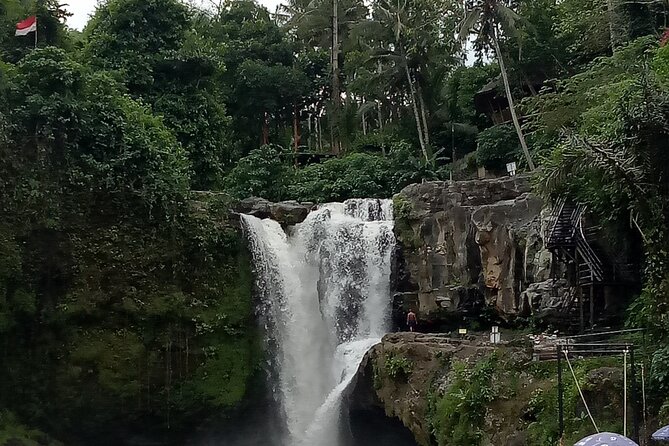 Bali Private Tour Guide And Driver - The cultural bonus: how the guide turns stops into understanding